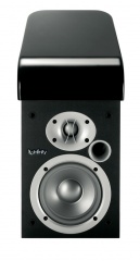 infinity C205